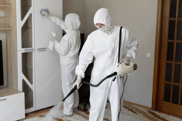 Best HVAC Mold Remediation in Fairchance, PA