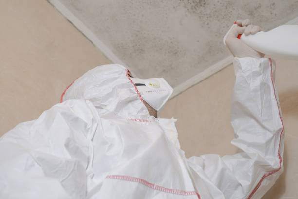 Best Bathroom Mold Remediation in Fairchance, PA