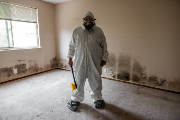 Best Commercial Mold Remediation in Fairchance, PA